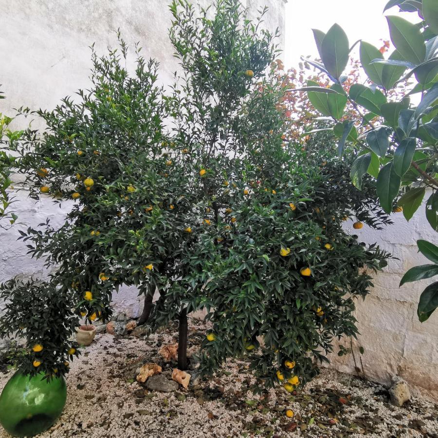 Casa Magnolia Villa Montalbano  Dış mekan fotoğraf
