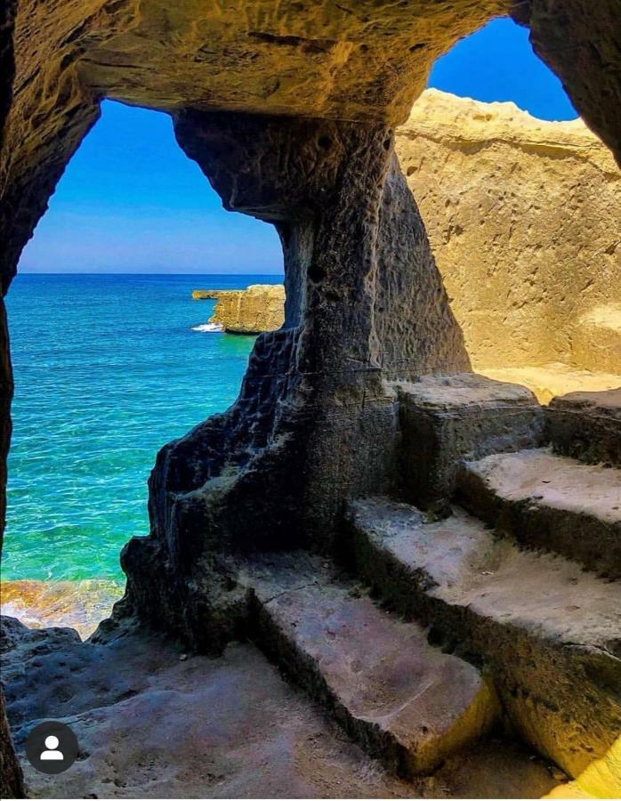 Casa Magnolia Villa Montalbano  Dış mekan fotoğraf